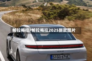 帕拉梅拉/帕拉梅拉2025新款图片