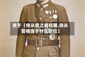 关于【侍从官之肩在哪,侍从官相当于什么职位】