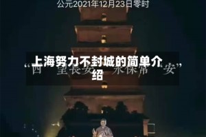 上海努力不封城的简单介绍