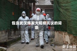 包含武汉爆发大规模抗议的词条