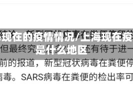 上海现在的疫情情况/上海现在疫情是什么地区