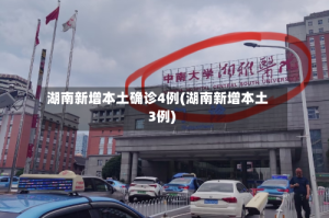 湖南新增本土确诊4例(湖南新增本土3例)