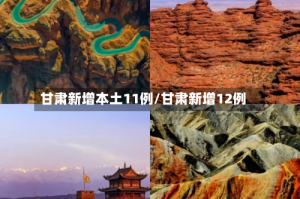 甘肃新增本土11例/甘肃新增12例