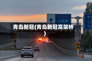 青岛新冠(青岛新冠高架桥)