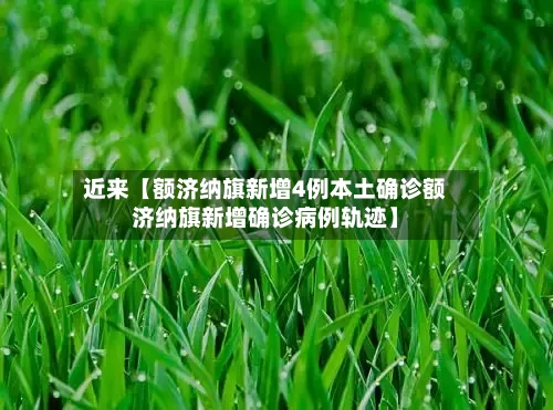 近来【额济纳旗新增4例本土确诊额济纳旗新增确诊病例轨迹】-第1张图片