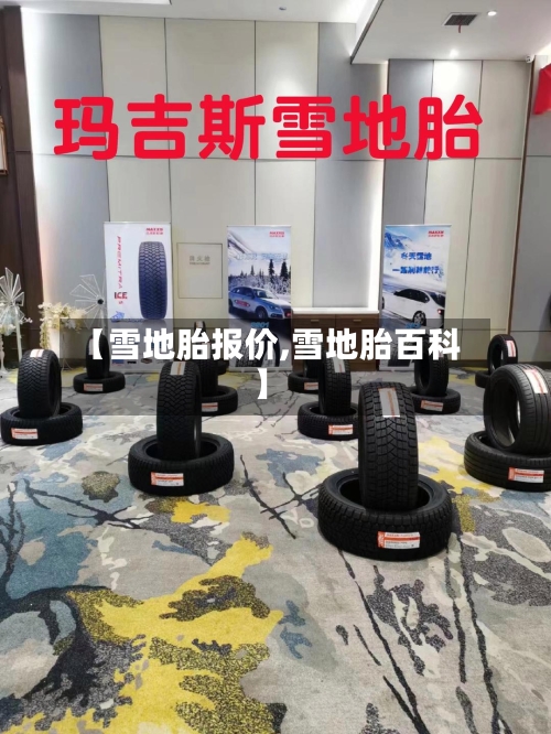 【雪地胎报价,雪地胎百科】-第1张图片