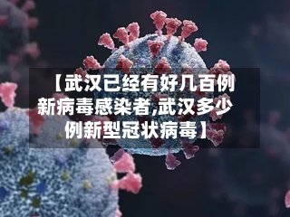 【武汉已经有好几百例新病毒感染者,武汉多少例新型冠状病毒】-第1张图片