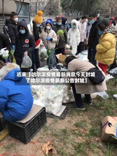 近来【哈尔滨疫情最新消息今天封城了哈尔滨疫情最新公告封城】-第1张图片