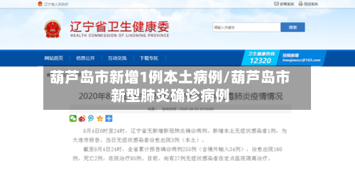 葫芦岛市新增1例本土病例/葫芦岛市新型肺炎确诊病例-第1张图片