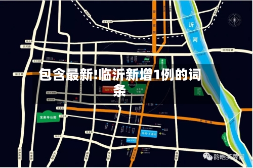 包含最新!临沂新增1例的词条-第1张图片