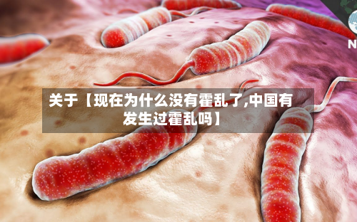 关于【现在为什么没有霍乱了,中国有发生过霍乱吗】-第1张图片