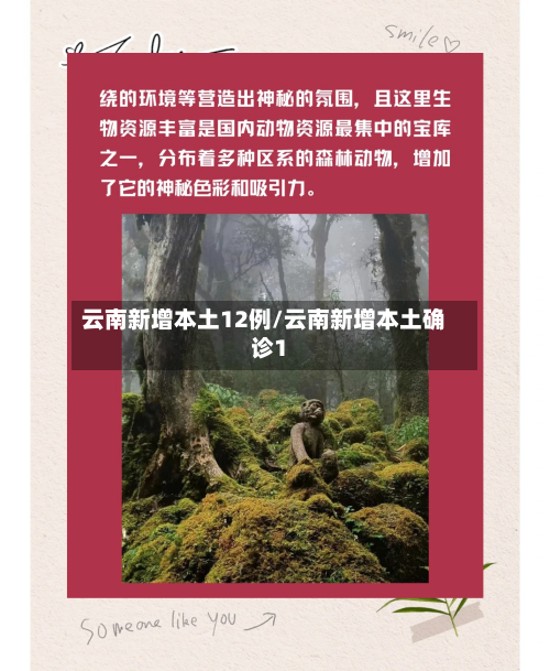 云南新增本土12例/云南新增本土确诊1-第1张图片