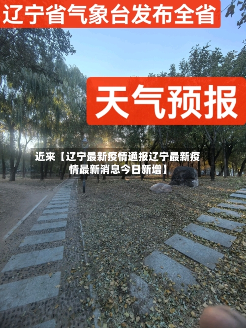 近来【辽宁最新疫情通报辽宁最新疫情最新消息今日新增】-第1张图片