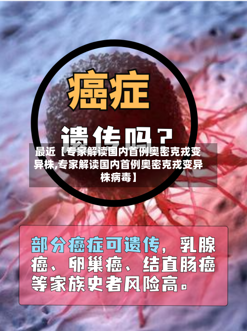 最近【专家解读国内首例奥密克戎变异株,专家解读国内首例奥密克戎变异株病毒】-第2张图片