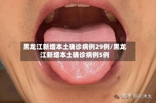 黑龙江新增本土确诊病例29例/黑龙江新增本土确诊病例5例-第1张图片