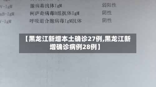 【黑龙江新增本土确诊27例,黑龙江新增确诊病例28例】-第2张图片