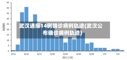 武汉通报14例确诊病例轨迹(武汉公布确诊病例轨迹)-第2张图片