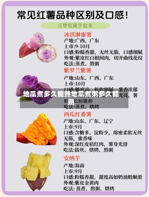 地瓜煮多久能熟地瓜煮粥多久能熟