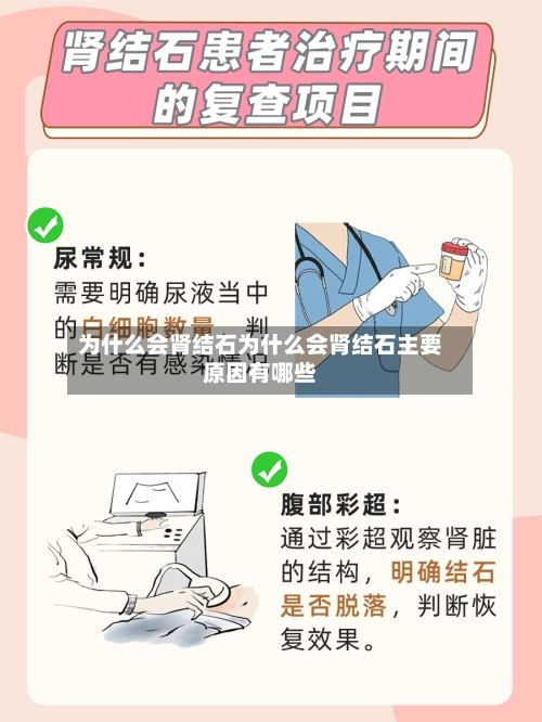 为什么会肾结石为什么会肾结石主要原因有哪些