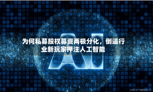 为何私募股权募资两极分化,倒逼行业新玩家押注人工智能