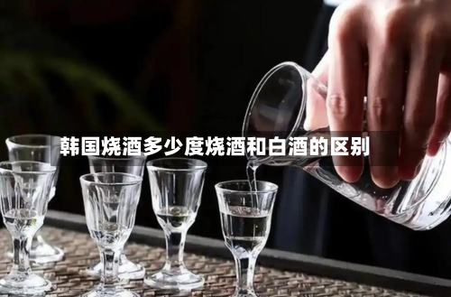 韩国烧酒多少度烧酒和白酒的区别