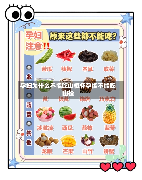 孕妇为什么不能吃山楂怀孕能不能吃山楂