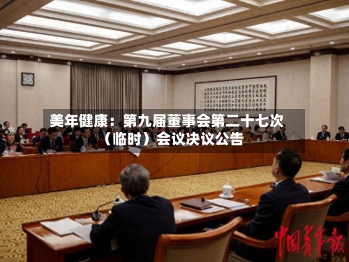 美年健康:第九届董事会第二十七次(临时)会议决议公告
