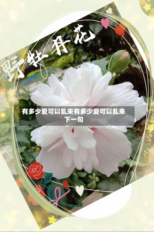 有多少爱可以乱来有多少爱可以乱来下一句
