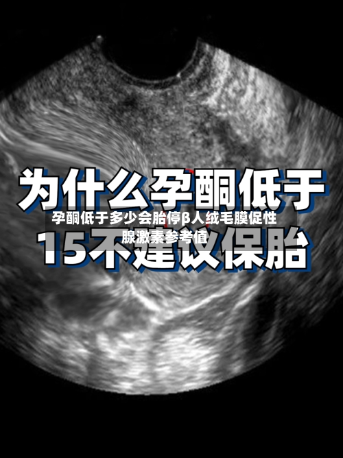 孕酮低于多少会胎停β人绒毛膜促性腺激素参考值