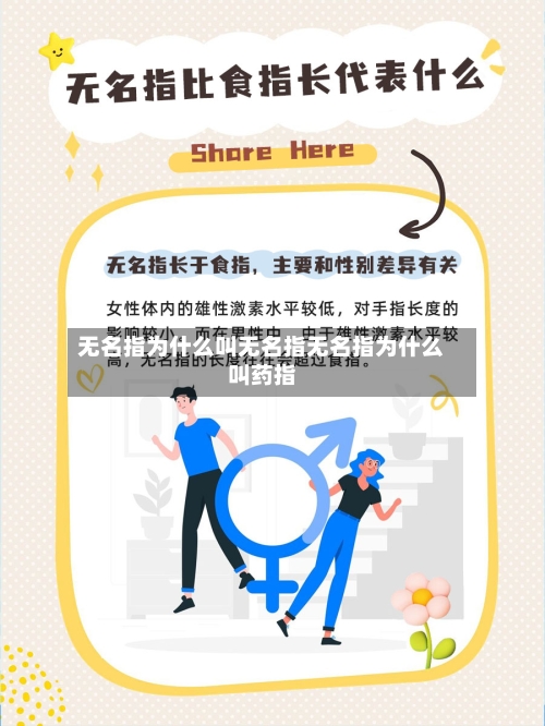 无名指为什么叫无名指无名指为什么叫药指