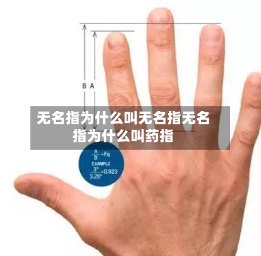 无名指为什么叫无名指无名指为什么叫药指