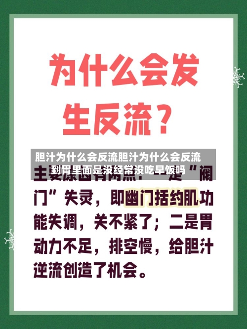 胆汁为什么会反流胆汁为什么会反流到胃里面是没经常没吃早饭吗