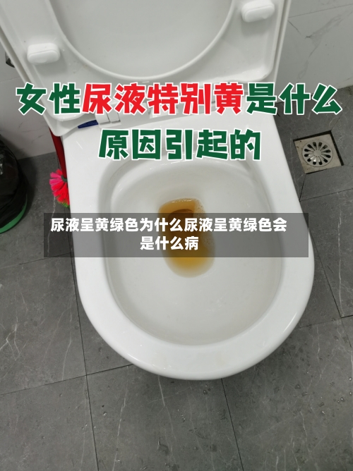 尿液呈黄绿色为什么尿液呈黄绿色会是什么病