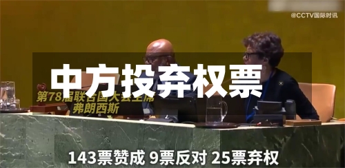 中方投弃权票