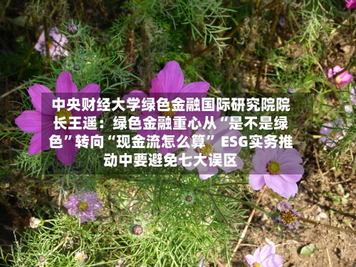 中央财经大学绿色金融国际研究院院长王遥:绿色金融重心从“是不是绿色”转向“现金流怎么算” ESG实务推动中要避免七大误区
