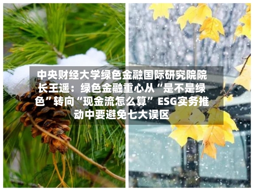 中央财经大学绿色金融国际研究院院长王遥:绿色金融重心从“是不是绿色”转向“现金流怎么算” ESG实务推动中要避免七大误区