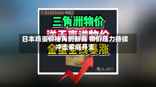 日本鸡蛋价格再创新高 物价压力持续冲击家庭开支