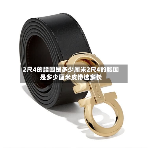 2尺4的腰围是多少厘米2尺4的腰围是多少厘米皮带选多长