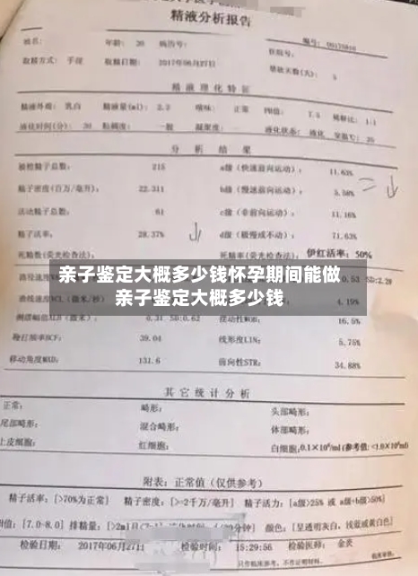亲子鉴定大概多少钱怀孕期间能做亲子鉴定大概多少钱
