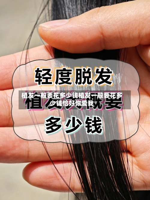 植发一般要花多少钱植发一般要花多少钱恰好你爱我