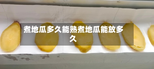 煮地瓜多久能熟煮地瓜能放多久