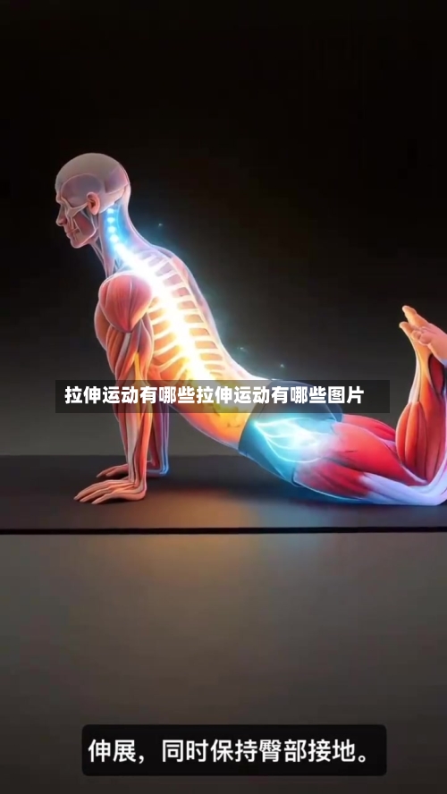 拉伸运动有哪些拉伸运动有哪些图片