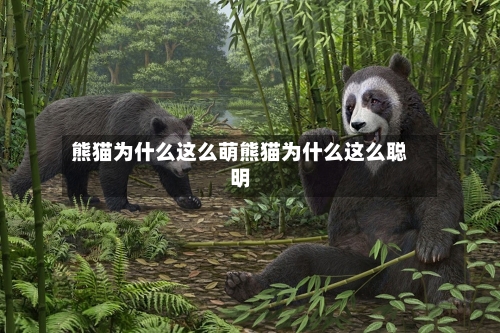 熊猫为什么这么萌熊猫为什么这么聪明