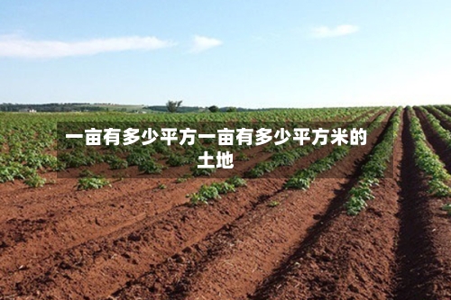 一亩有多少平方一亩有多少平方米的土地